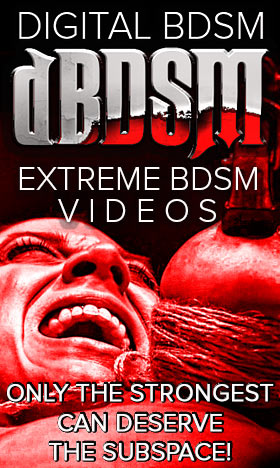 D BDSM