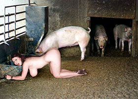 Pig girl living among dirty pigs for three months